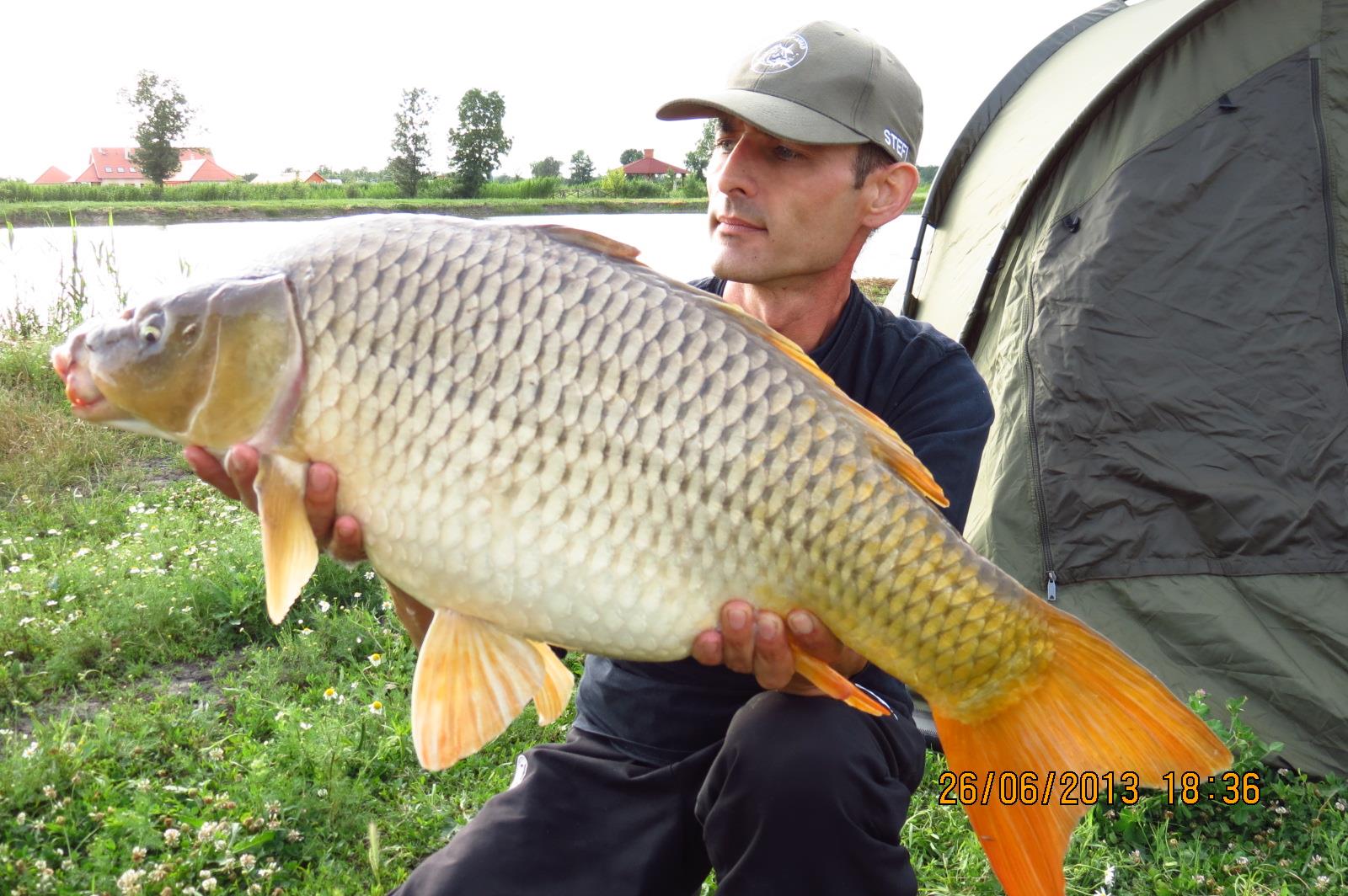 The best pictures of 2013 - 9400-kg-20130626-derekegyhaz---1937.JPG